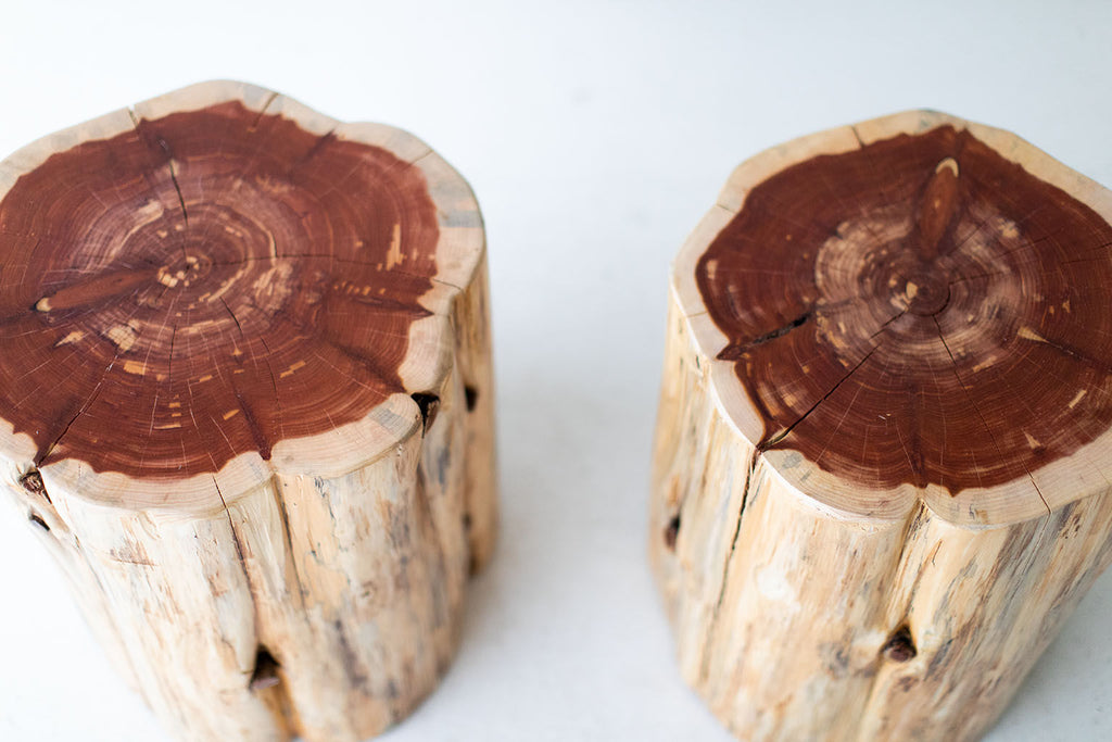 Large-Outdoor-Tree-Stump-Tables-Natural-2721-05
