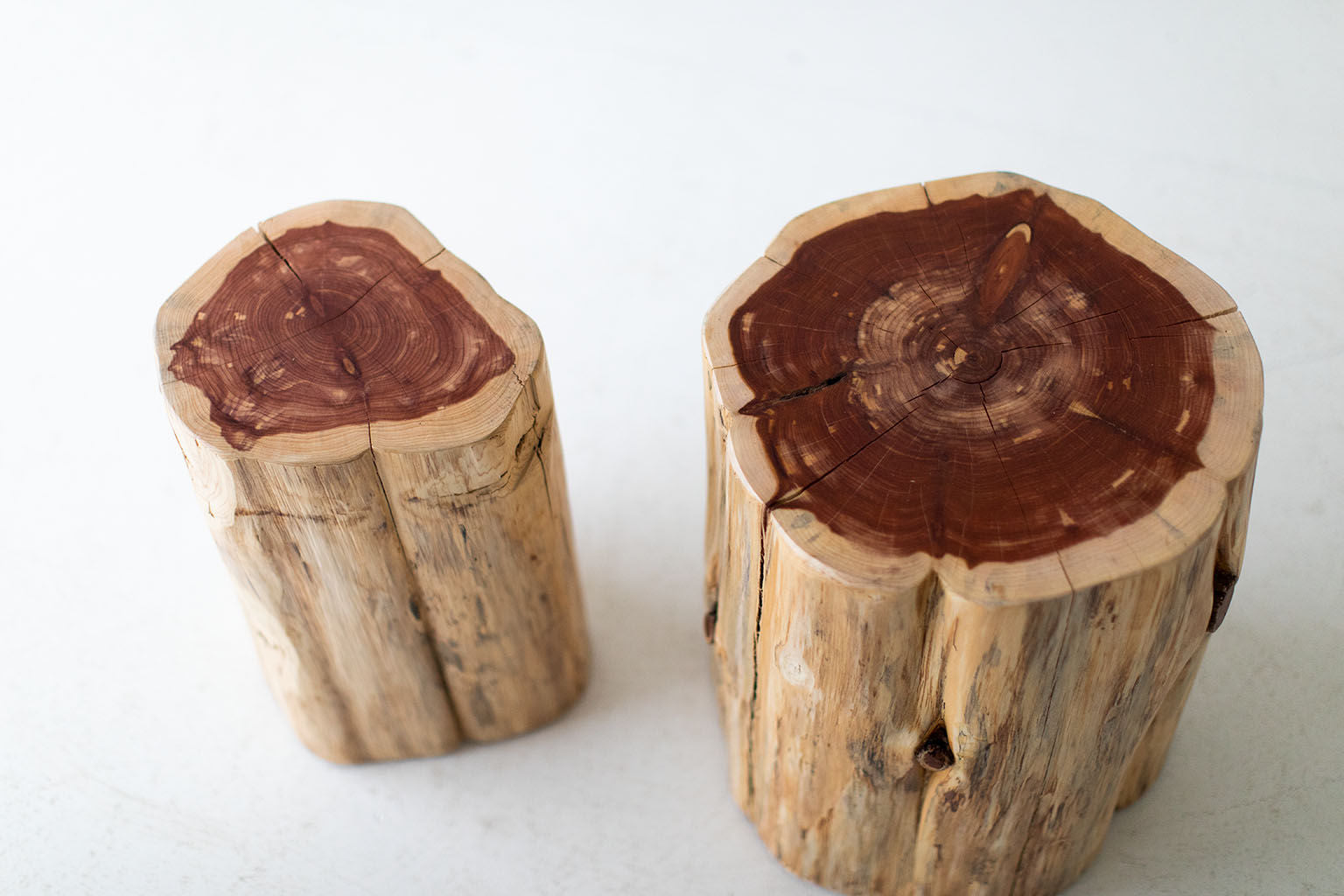 Large-Outdoor-Tree-Stump-Tables-Natural-2721-10