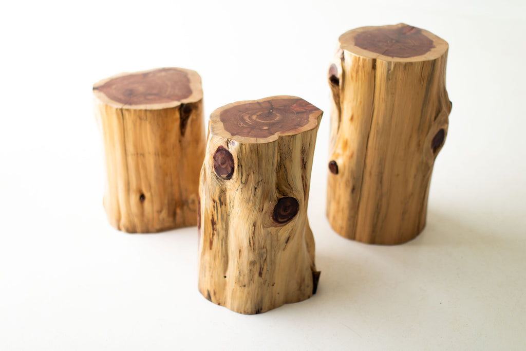 Outdoor-Stumps-1520-10