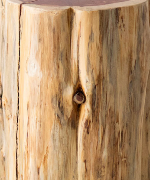 Outdoor-Stumps-1520-16