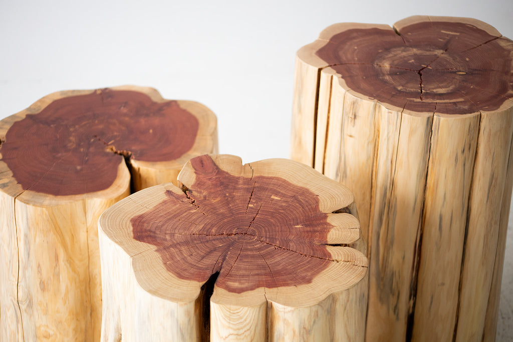 Modern-Side-Table-13_-Diameter-Natural-Stump-07