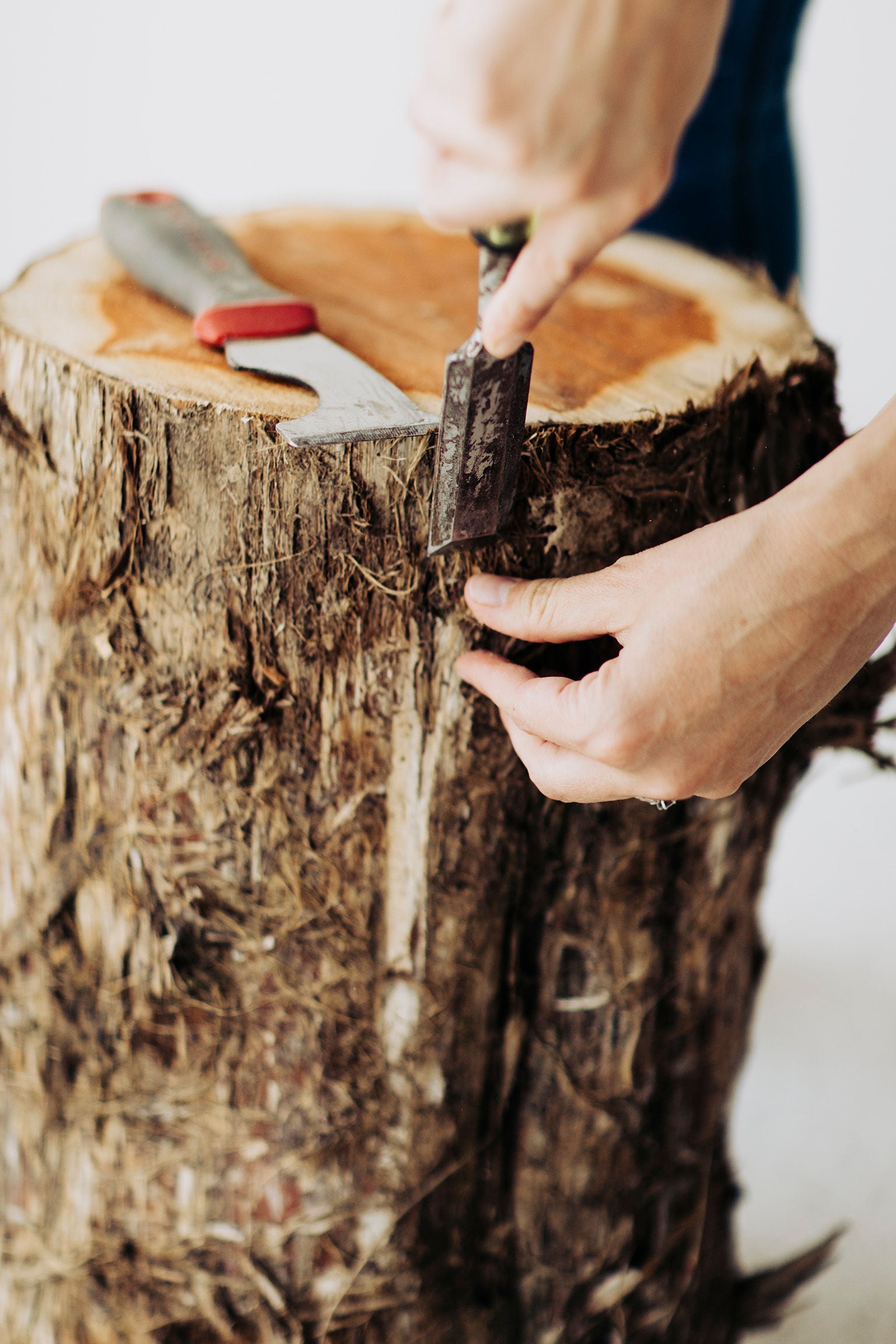 Shou-Sugi-Ban-Burned-Black-Stumps-03