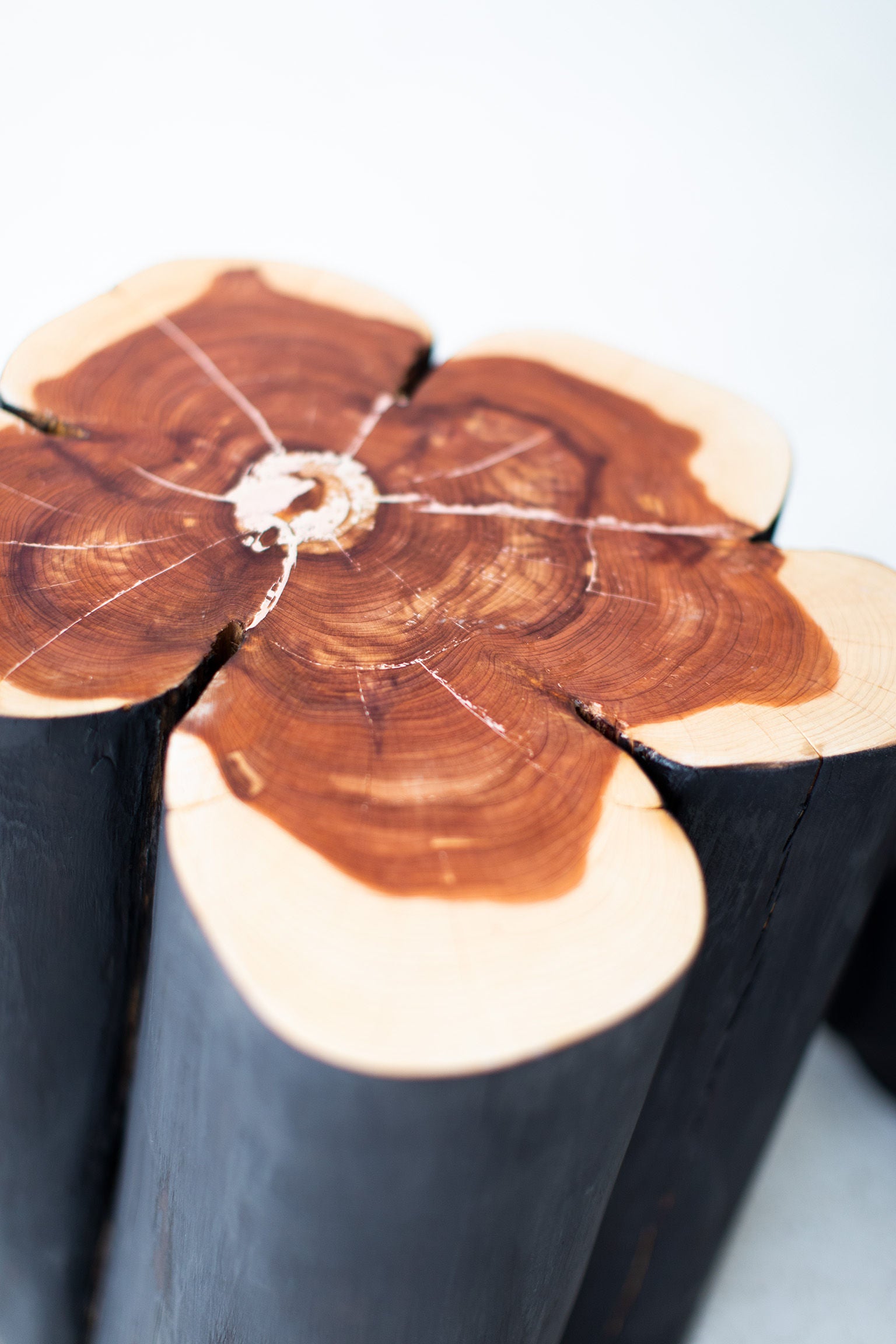 Shou-Sugi-Ban-Burned-Black-Stumps-05