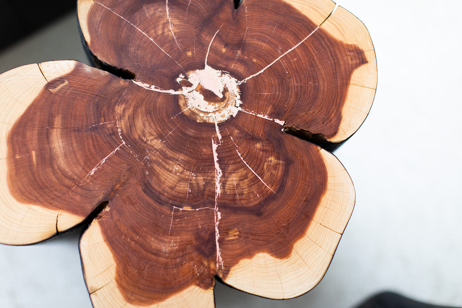 Shou-Sugi-Ban-Burned-Black-Stumps-09
