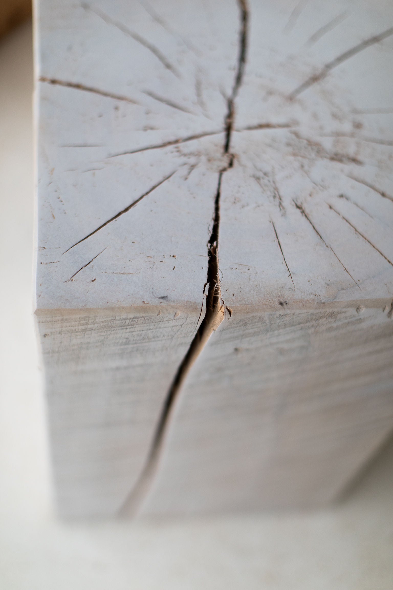 Tree-Stump-Tables-Square-08