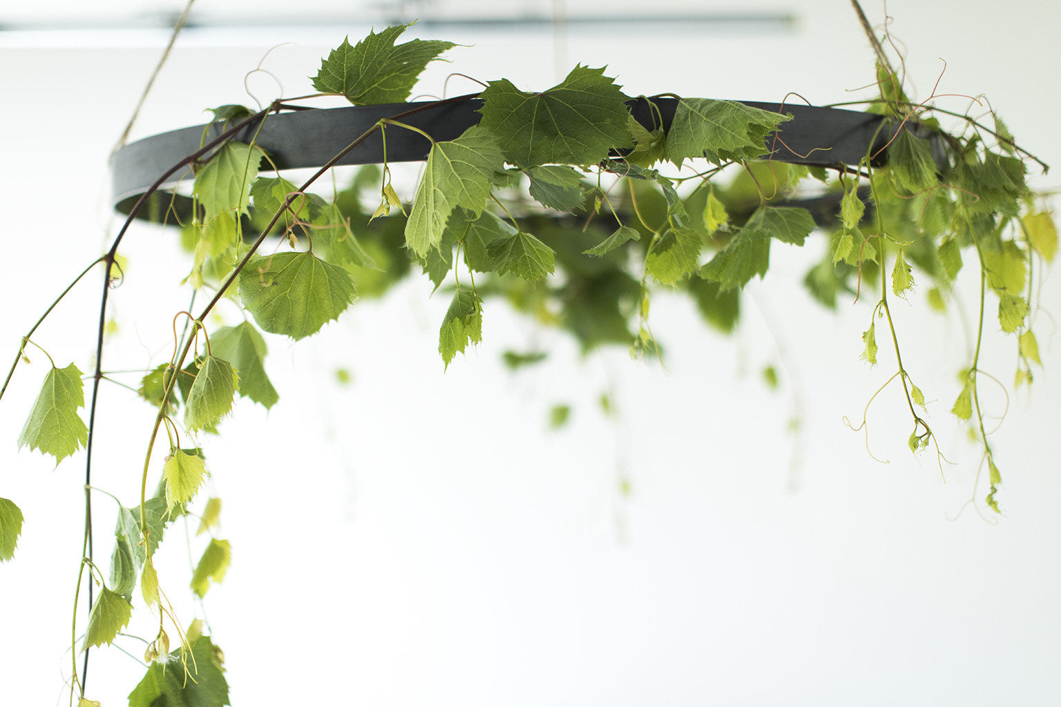 modern-wedding-decor-01