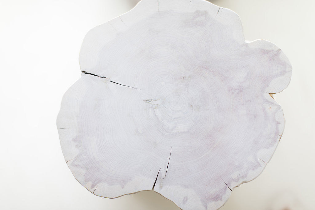 tree-stump-table-06