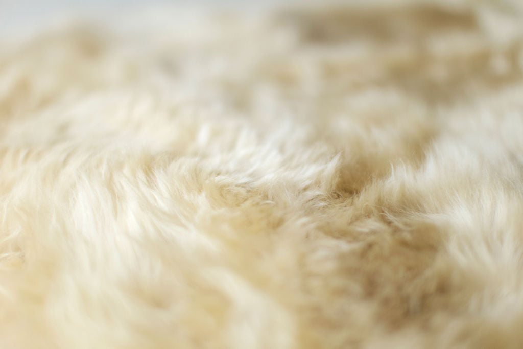 Big Fur Suelo Bench, Image 06