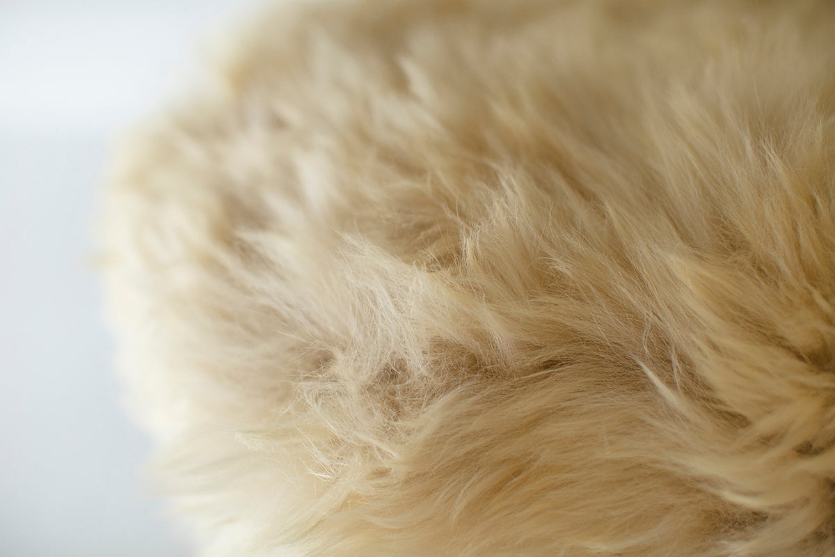 Cicely Dining Stool Sheepskin, Image 08