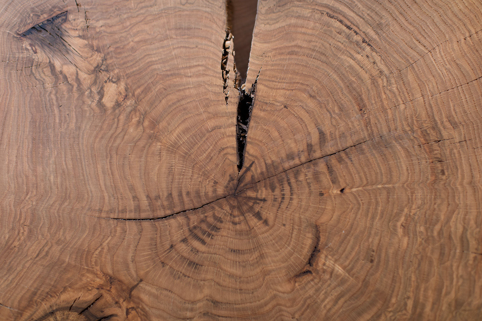 Modern-Lodge-Coffee-Table-Natural -0820-09