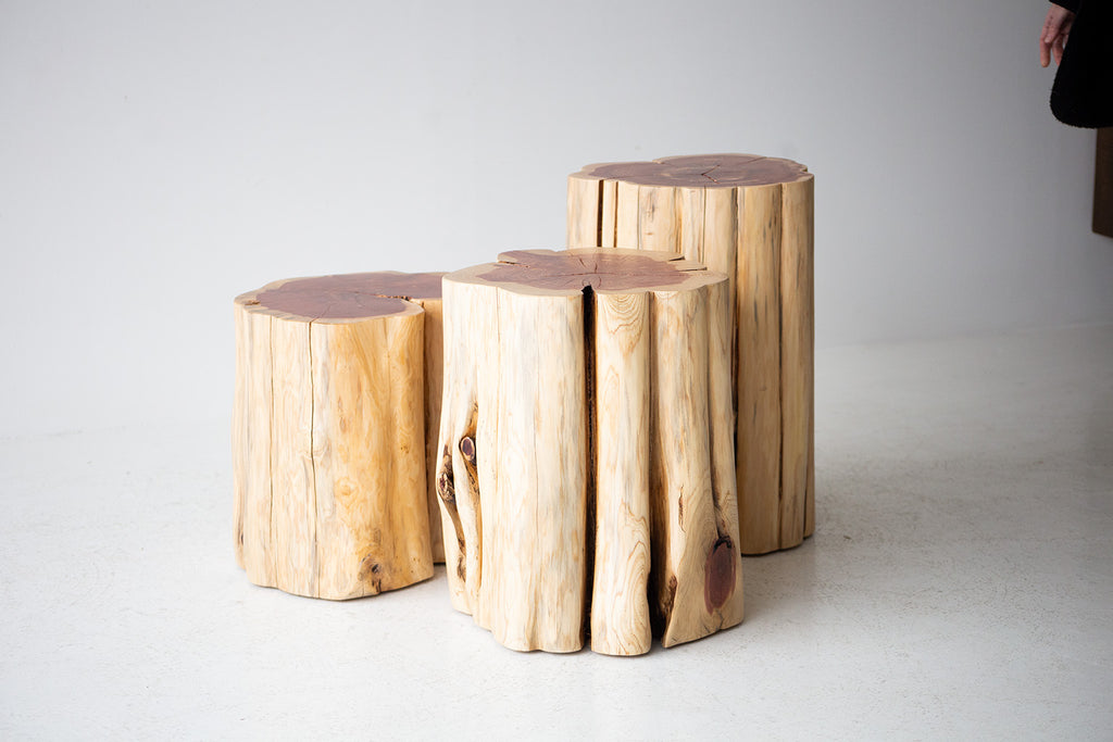 Modern-Side-Table-13_-Diameter-Natural-Stump-08