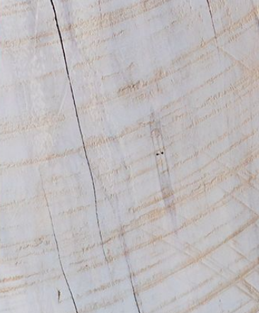 Tree Stump Tables - Square - 1218